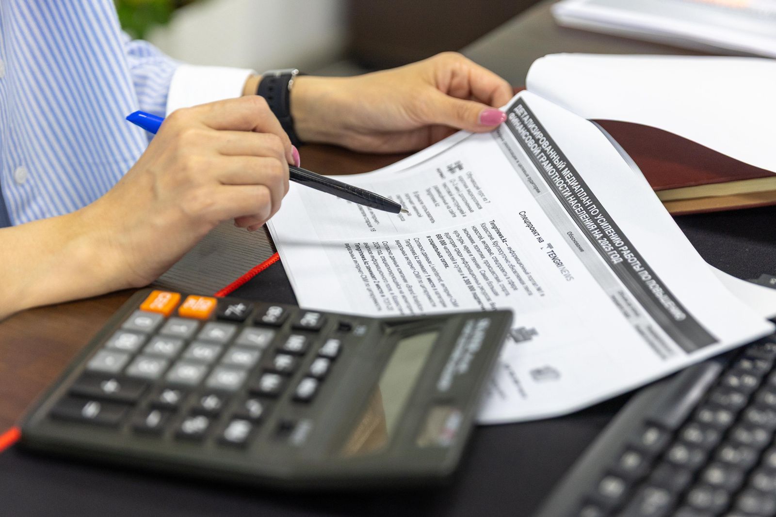 Accountant reviewing financial documents during a UAE statutory audit